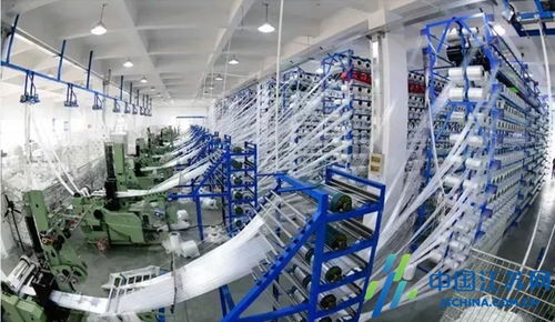 小工廠里的大作為——記高港區黨外代表人士王宏貴與他的軟件開發之路